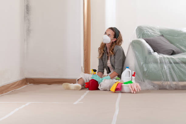 Reliable Mold Removal contractor in Exmore, VA by WQB Mold Removal